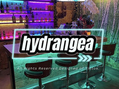 HYDRANGEA nChWA OUTDOOR DININGBAR̎ʐ^1