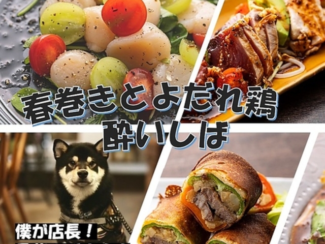 tƂ悾{@΁@JZڂ̎ʐ^1