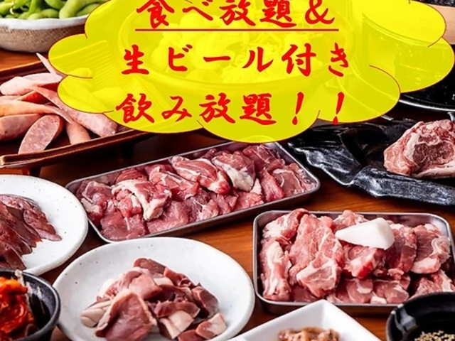 �W���M�X�J�� �y���Y ���c�X�̎ʐ^1