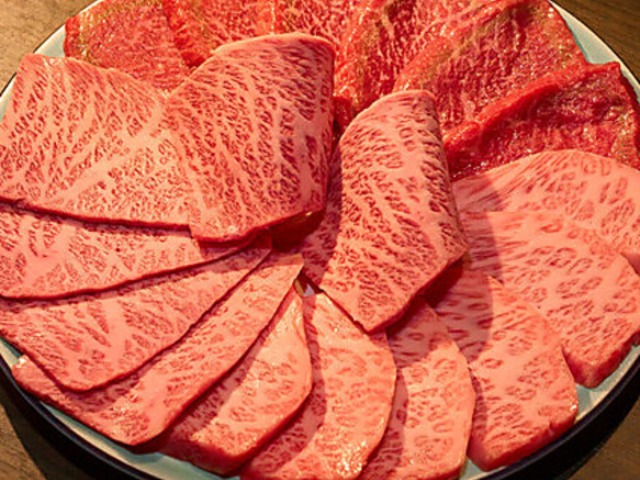 �ē��u���{�[�̎ʐ^1