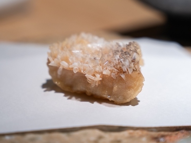 VՂ Vy 䂫ނ q̎ʐ^1