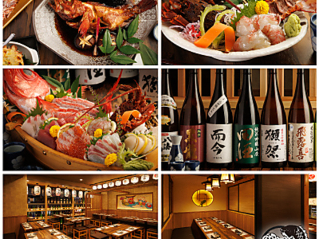 �V������ ���j �V���w�O�X�̎ʐ^1