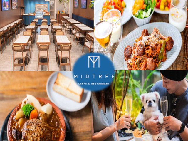 MID TREE ~bh c[ ㊯R̎ʐ^1