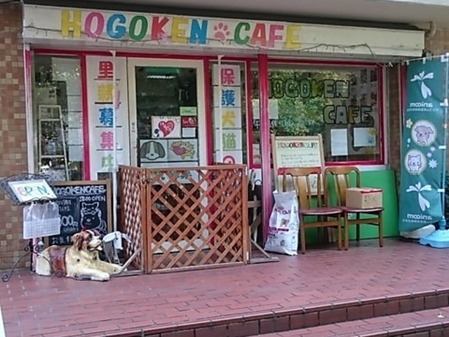 �ی쌢 �ی�L�J�t�F �V�_���X�̎ʐ^1