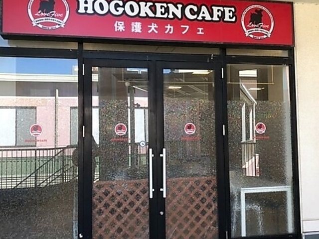 HOGOKEN CAFE zSPJtF 󐼓X̎ʐ^1
