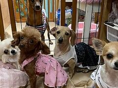 HOGOKEN PARK ホゴケンパーク 長居店の写真1