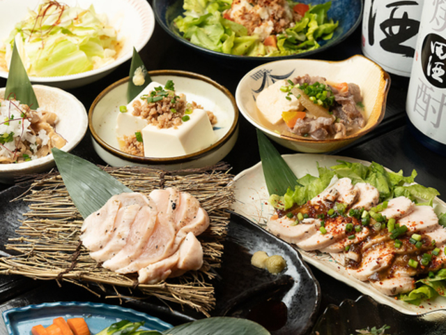 �{�Ǝ� �V�O�Y�̎ʐ^1