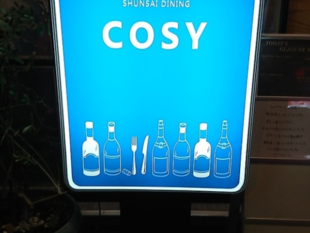 {؃_CjO Cosy R[W[̎ʐ^1