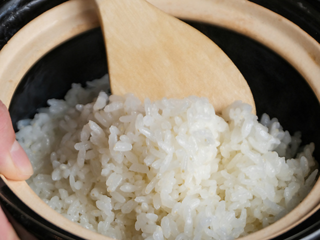 �ɂ��͂Ȍ`�̎ʐ^1