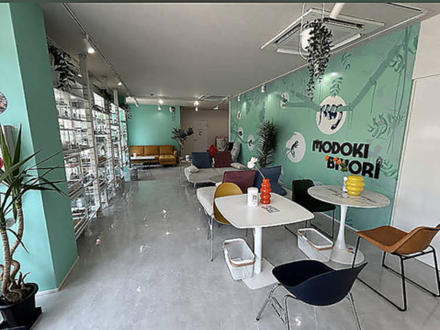 ���h�L�т��̎ʐ^1