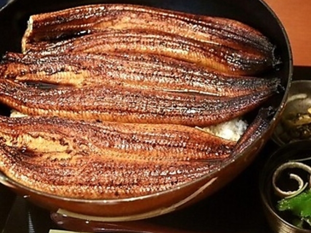 ���ȏ� �ɓ������X�̎ʐ^1