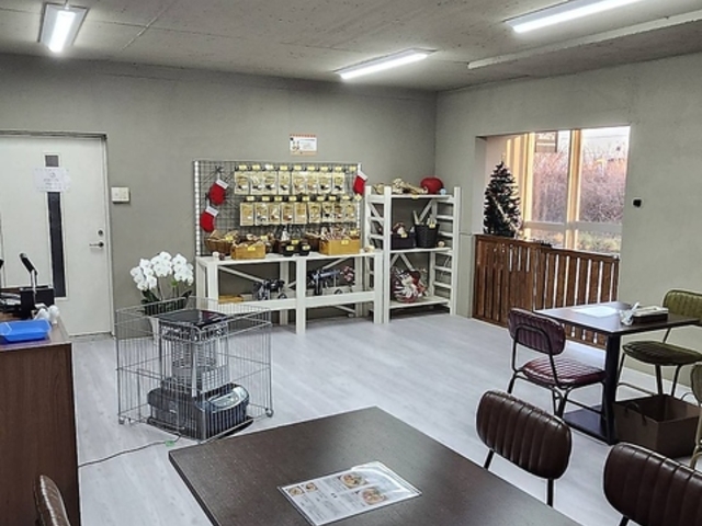 Natural DogSnacks&Cafe Mell s �����Y�̎ʐ^1