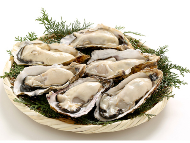 ������̎ʐ^1