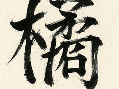 �����}�[�g �k�ʂ�X�̎ʐ^1