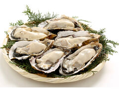 ������̎ʐ^1