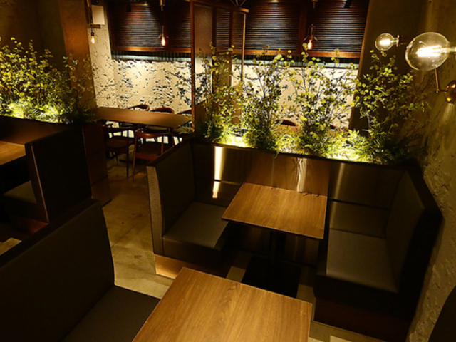 ���t���~�[�g���E���W�@����e���B�̎ʐ^1