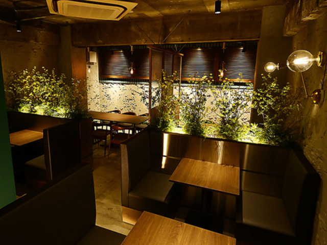 ���t���~�[�g���E���W�@����e���B�̎ʐ^1