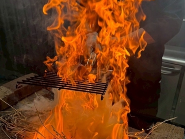 �m�Ă����т̎ʐ^1