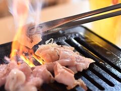 SAIKOU�ē��z�������@�n�X�̎ʐ^1