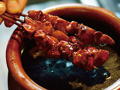 �y�s���X�z�{�i�Y�ΏĒ��@����@�ܘY��̎ʐ^1