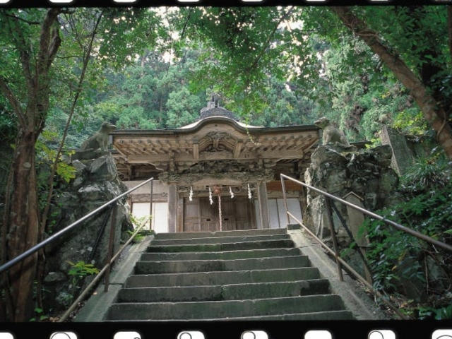 ����_��_����_��