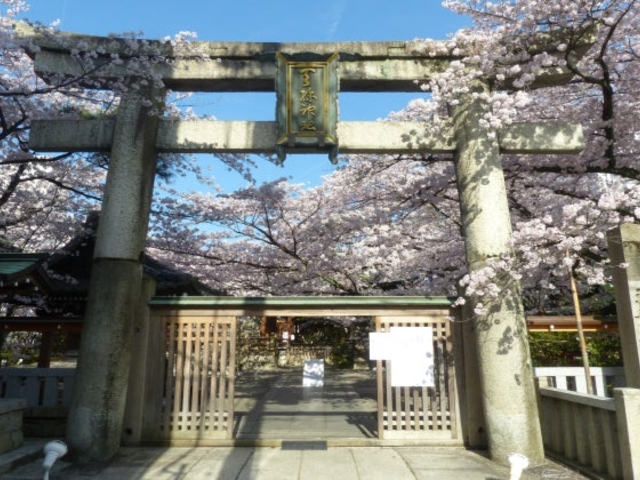 �V���_��_�V���_��