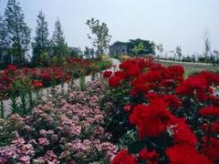 滋賀の動物園 植物園ランキングtop10 じゃらんnet