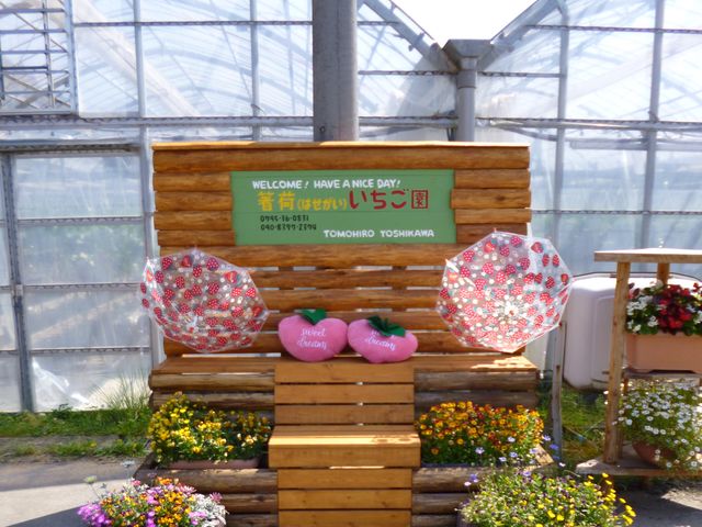 ���ׂ�������