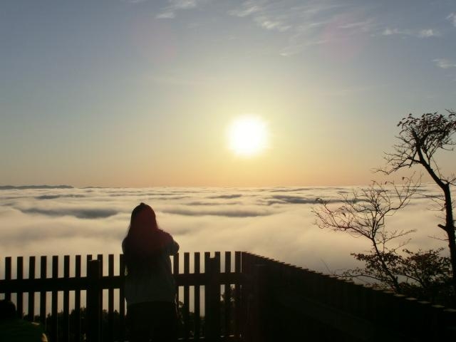 ���J�R�W�]��̎ʐ^1