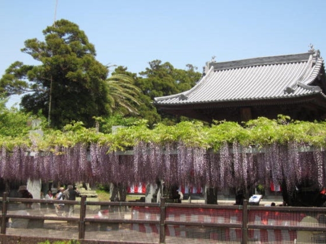 �咆�b�_�ИO��Ə��R��_�咆�b�_��