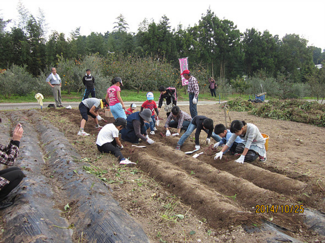 �֌��ό��_��