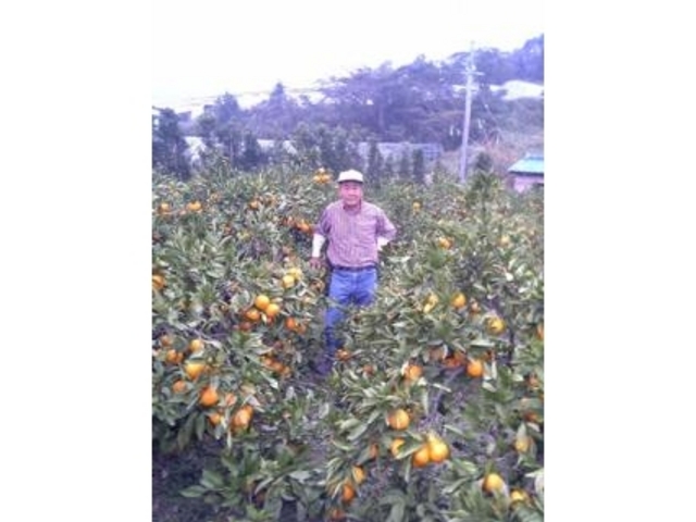 �֌��ό��_��