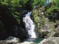 ����̑�̎ʐ^1