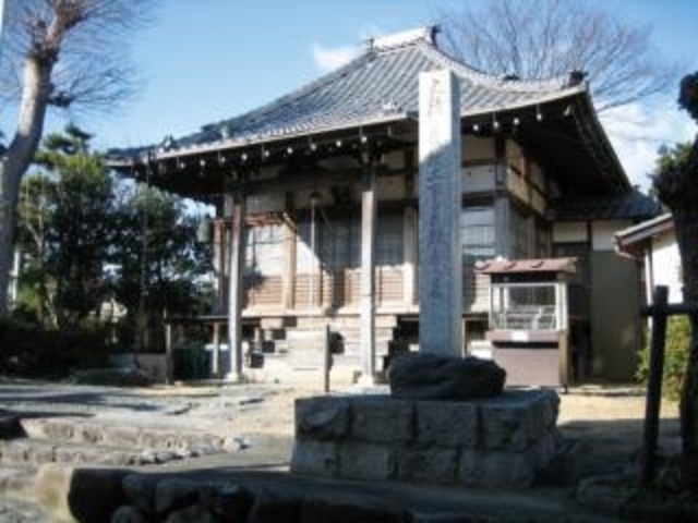 �~�����̎ʐ^1