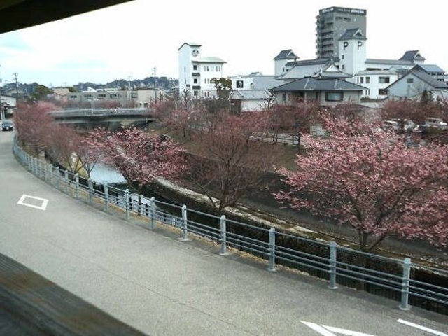 �t��E�΂̐��_��L�̎ʐ^1