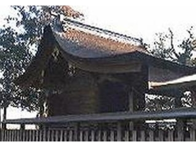 �{�㔪����