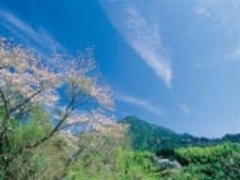 nz̎ʐ^1