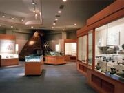 썇Yq1썇lÎق̎ʐ^1