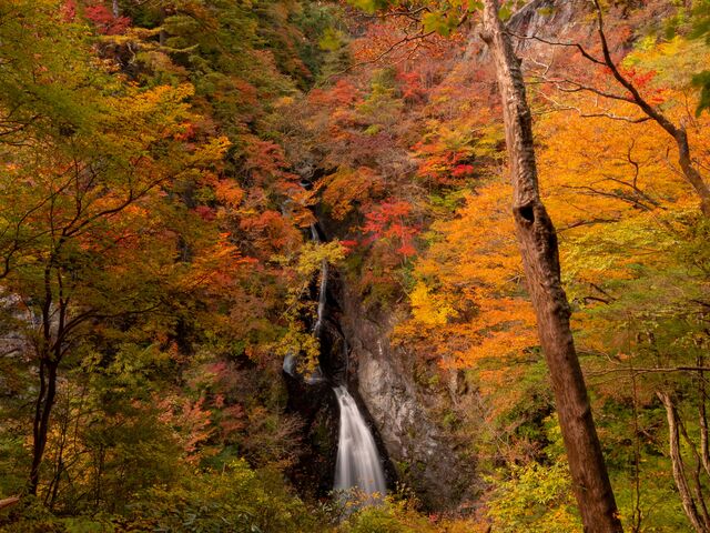 �������