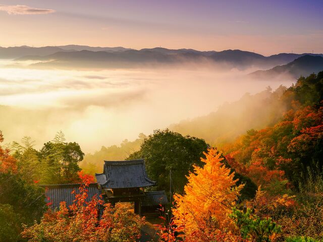 ��莛�̍g�t�̎ʐ^1