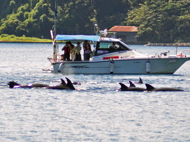 �C��^�N�V�[�@�T����