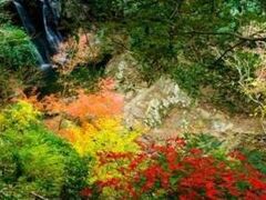 ���R�k�^���݂��̎ʐ^1