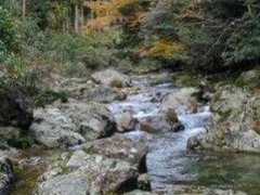 �����^���݂��E���₫�̎ʐ^1