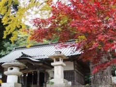 �֔����{�^�����傤�̎ʐ^1