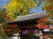 �������^���݂��E�����傤�̎ʐ^1