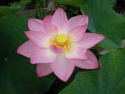 �@�ώ��^�͂��̎ʐ^2