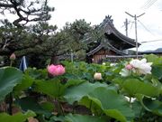 �@�ώ��^�͂��̎ʐ^4