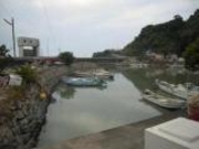 �D����̎ʐ^2