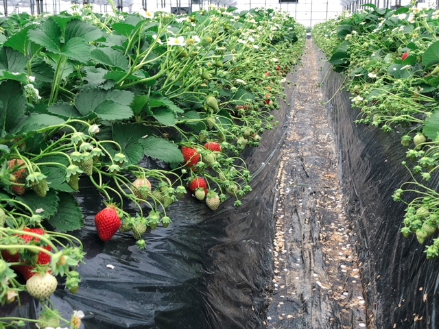 ������������