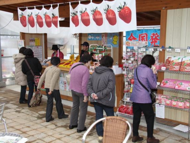 �������ł����y�Y�̃C�`�S��̔����Ă���܂��I_������������